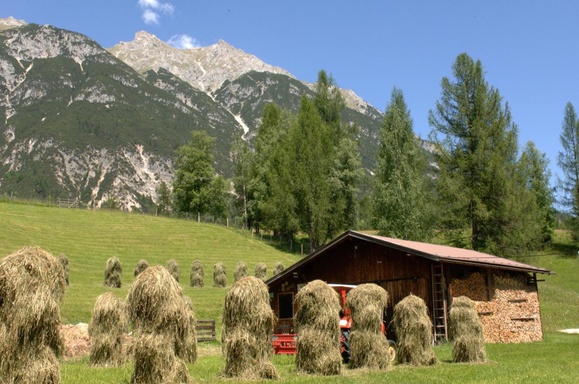 Haus Elisengrund Am Geigenbuehel - Chalet Prive Зеефельд в Тироле Экстерьер фото
